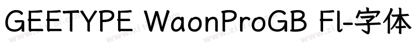 GEETYPE WaonProGB Fl字体转换
